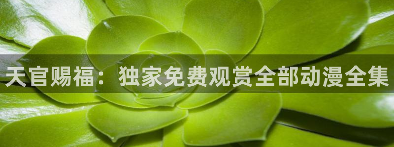 里番肉动漫在线观看:天官赐福:独家免费观赏全部动漫全集配图