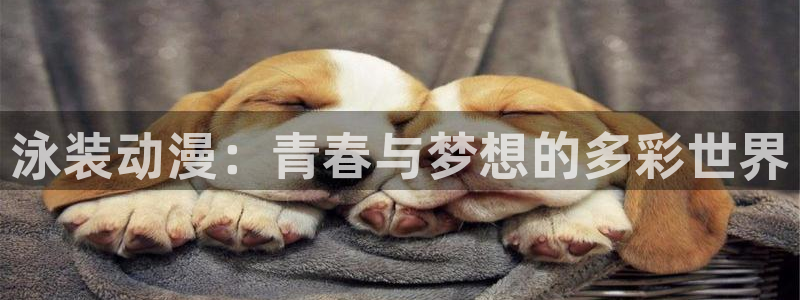 里番 动漫在线观看:泳装动漫:青春与梦想的多彩世界配图