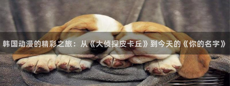 里番番动漫在线观看:韩国动漫的精彩之旅:从《大侦探皮卡丘》到今天的《你的名字》配图