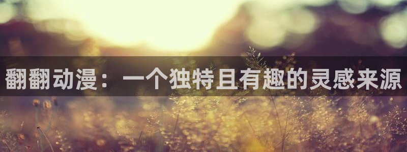 里番s动漫在线观看:翻翻动漫:一个独特且有趣的灵感来源配图