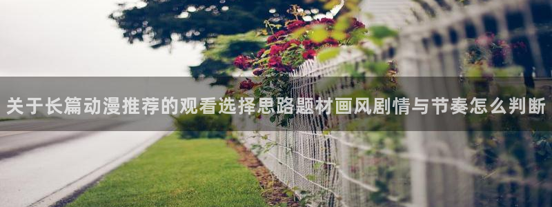 在线观看里番动漫网站:关于长篇动漫推荐的观看选择思路题材画风剧情与节奏怎么判断配图