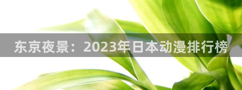 里番变态动漫在线观看:东京夜景:2023年日本动漫排行榜配图