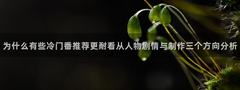 里番动漫晚安在线观看：为什么有些冷门番推荐更耐看从人物剧情与制作三个方向分析配图