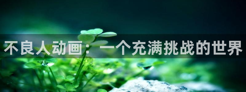 琴女里番动漫在线观看：不良人动画：一个充满挑战的世界配图