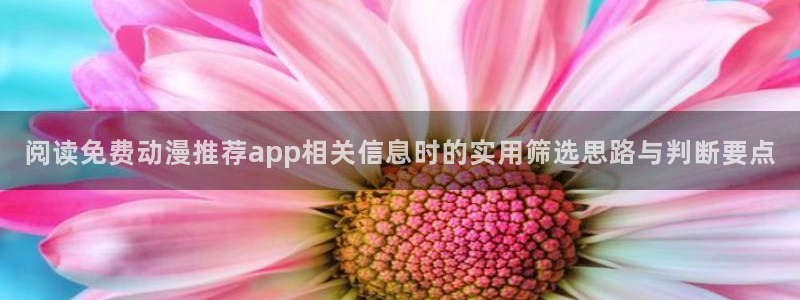 里番卡通动漫在线观看：阅读免费动漫推荐app相关信息时的实用筛选思路与判断要点配图