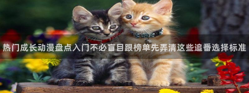 里番伦理动漫在线观看：热门成长动漫盘点入门不必盲目跟榜单先弄清这些追番选择标准配图