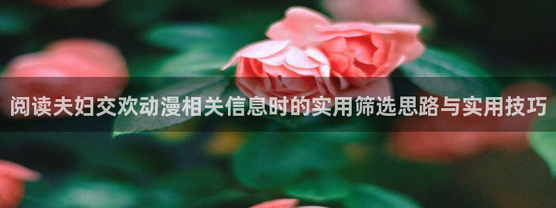 在线里番动漫观看:阅读夫妇交欢动漫相关信息时的实用筛选思路与实用技巧配图